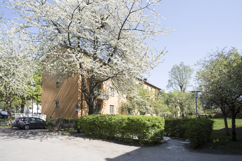 Bilder från föregående försäljning, tagna i början på maj