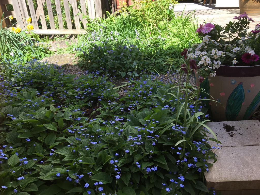 Säljarens bilder från uteplatsen