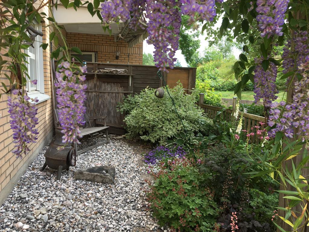 Säljarens bilder från uteplatsen