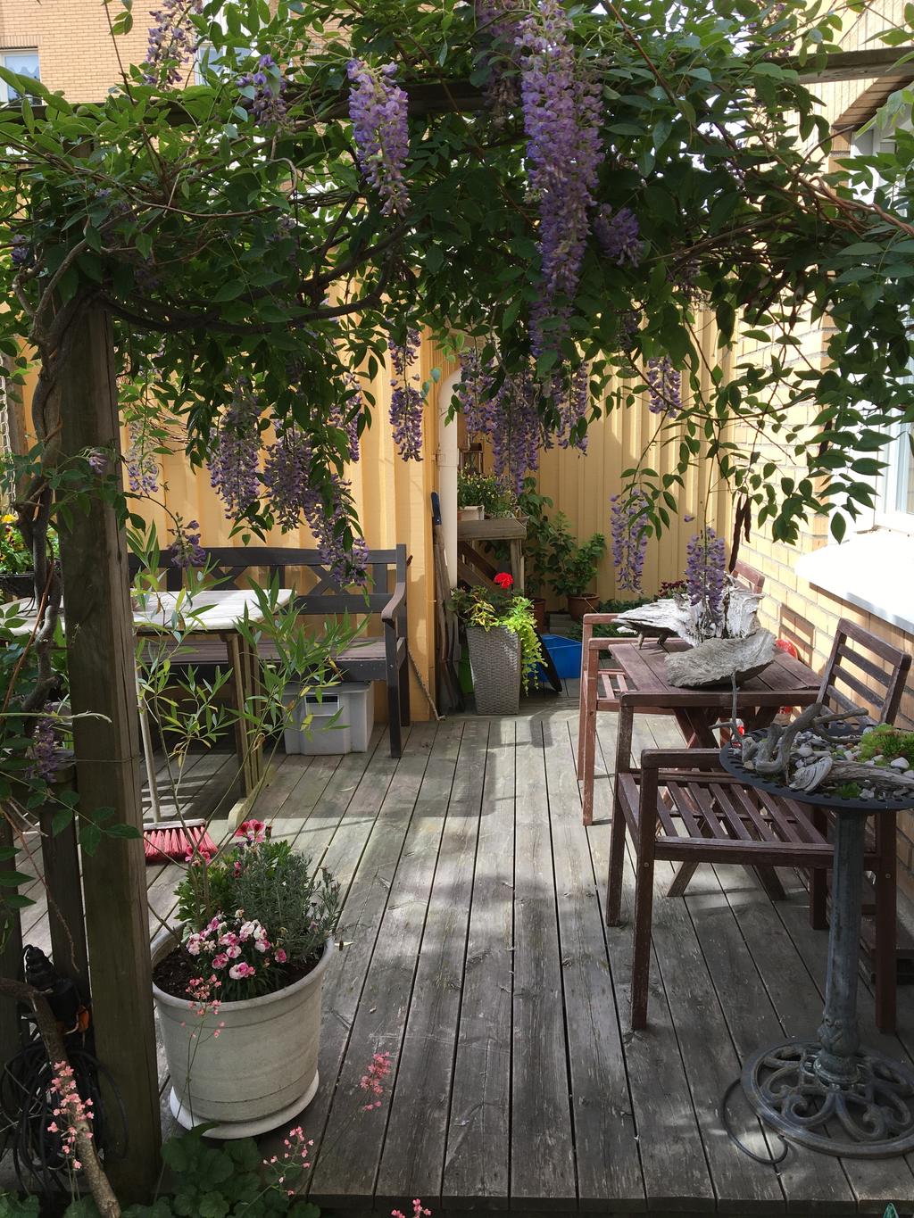 Säljarens bilder från uteplatsen