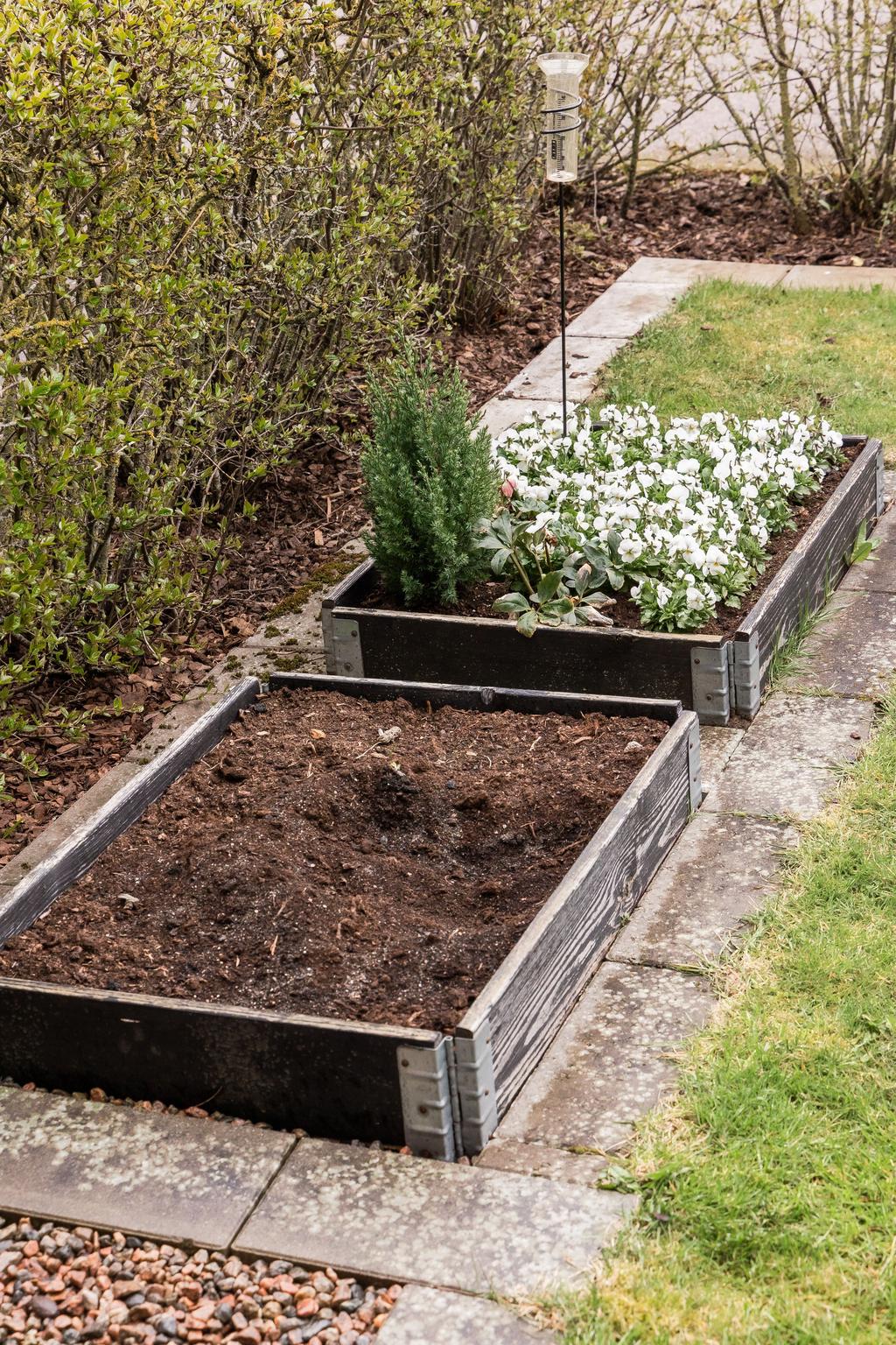 Pallkragar att odla i