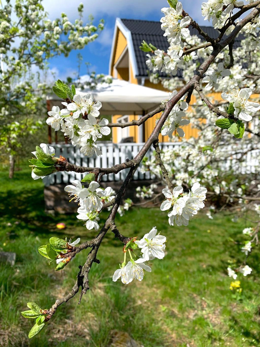 Säljarens sommarbild