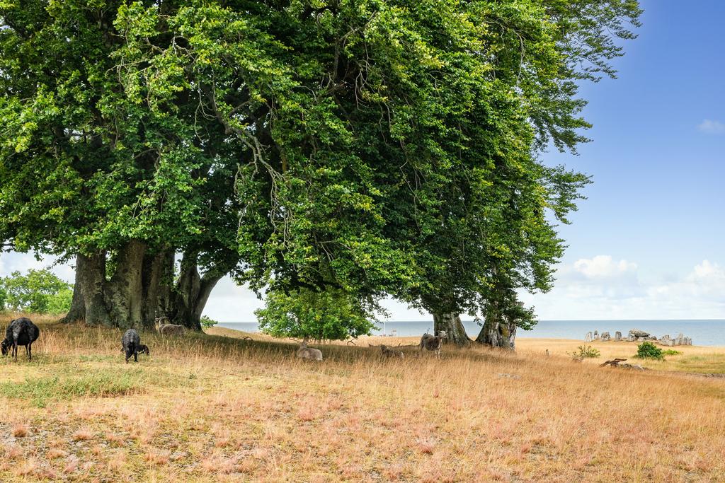 Omgivningarna vid Haväng