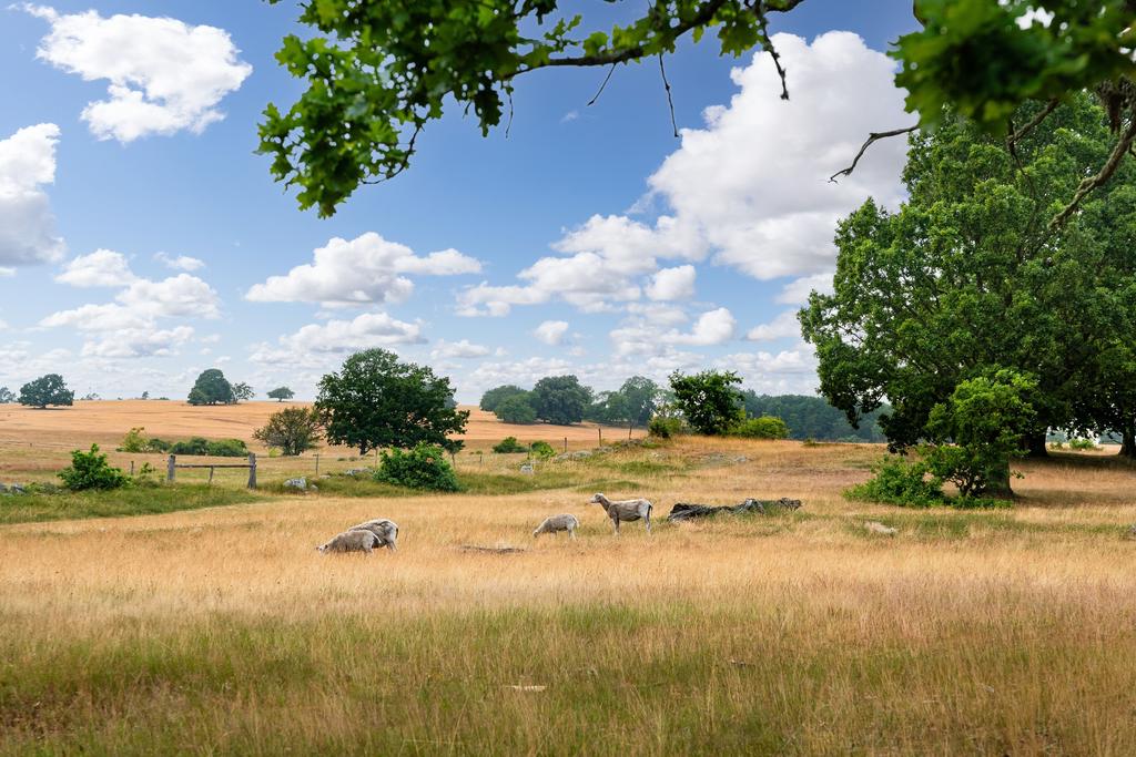 Omgivningarna vid Haväng