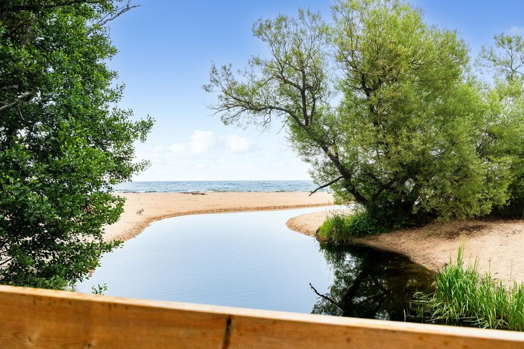 Omgivningarna vid Haväng