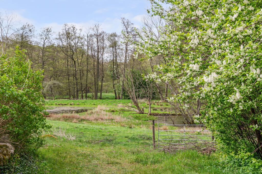 Lummig trädgård på härligt läge