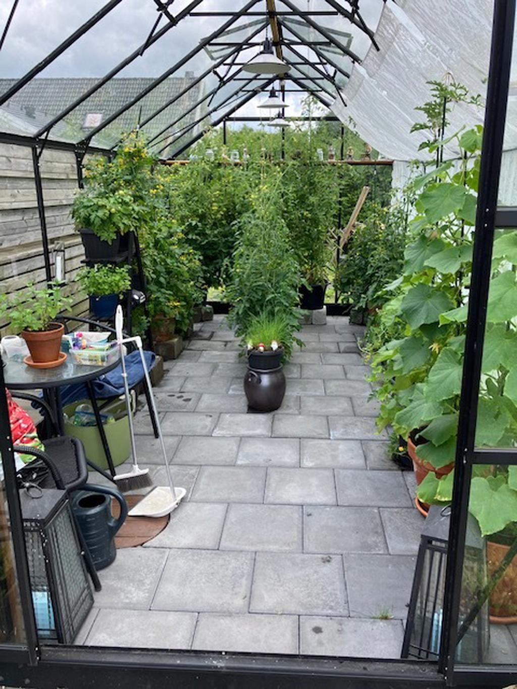 Sommarbilder säljarens egna