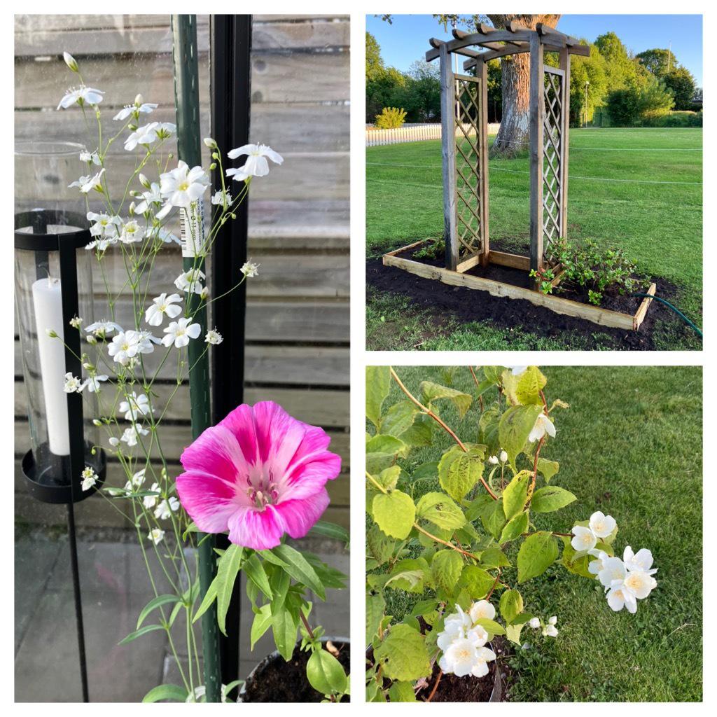 Sommarbilder säljarens egna