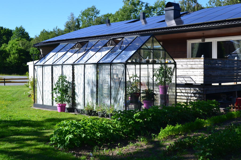 Det frodas i växthuset