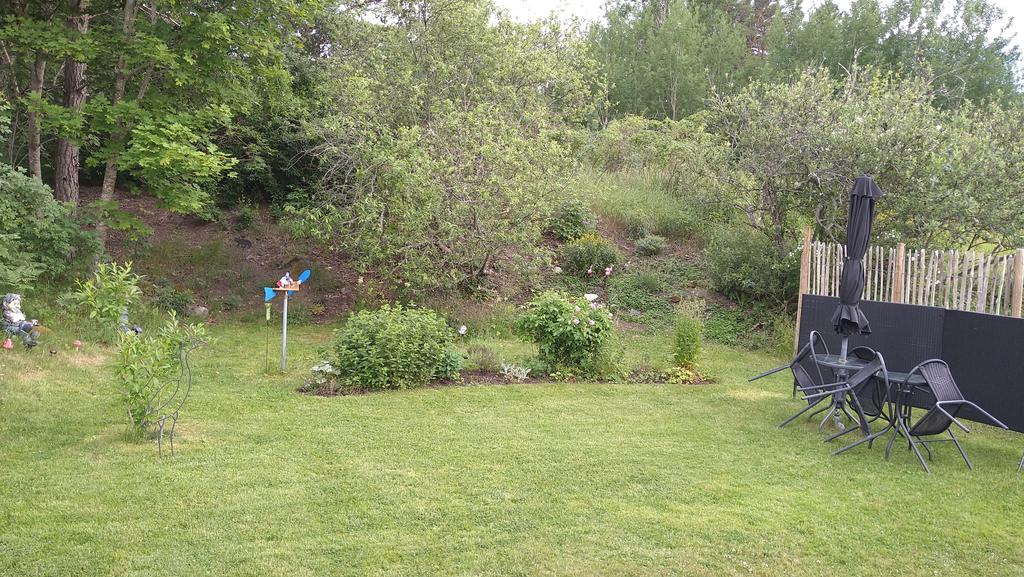 Säljarens egna bild