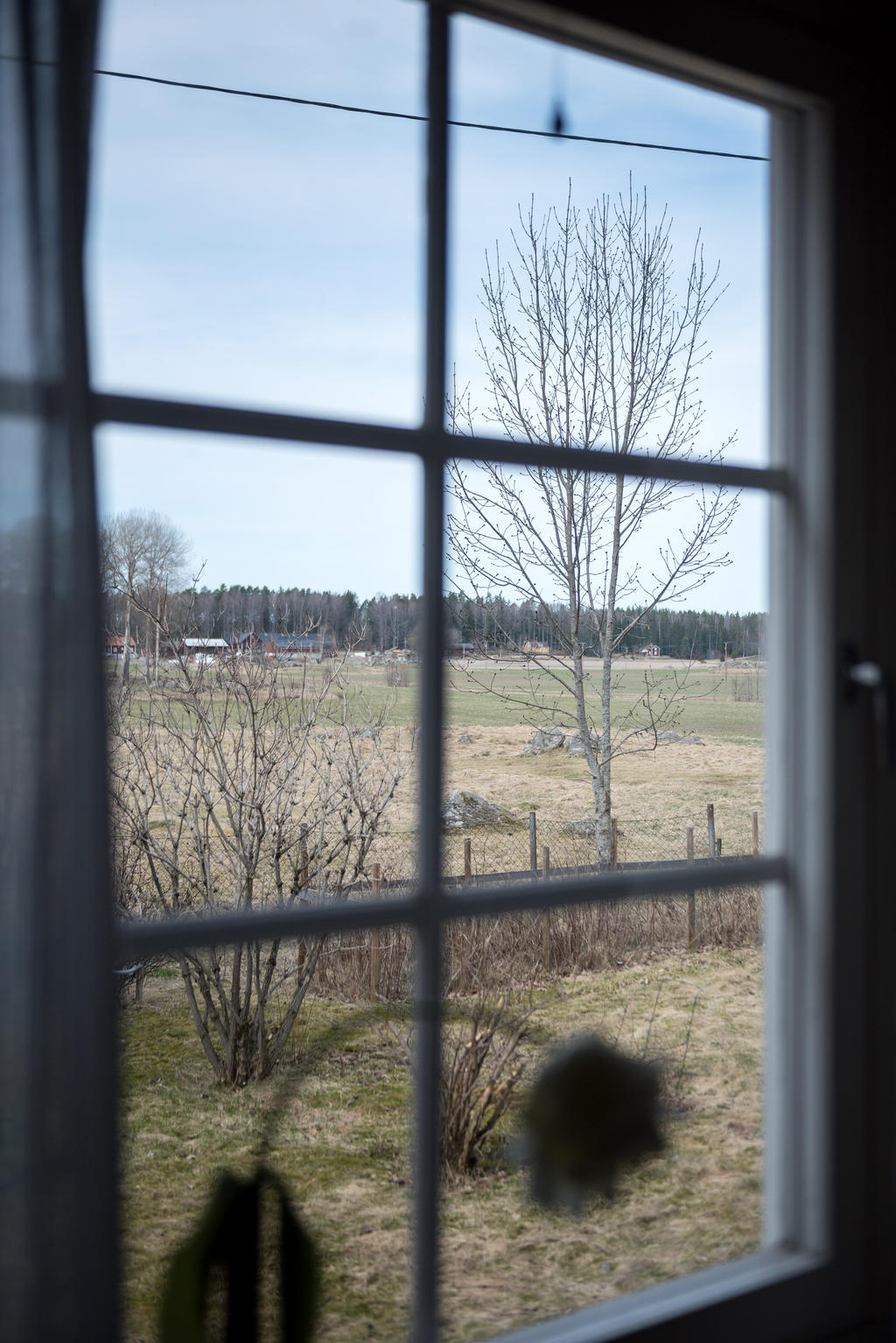 Vy från kök.