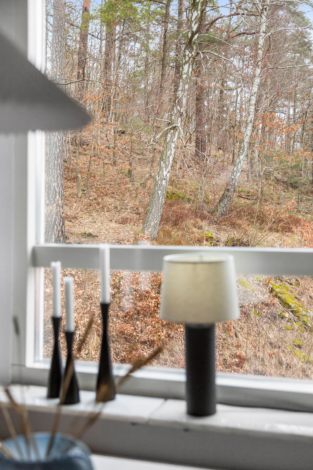 Extra mysigt att kunna följa årstiderna i naturen från matbordet. Ingen insyn!