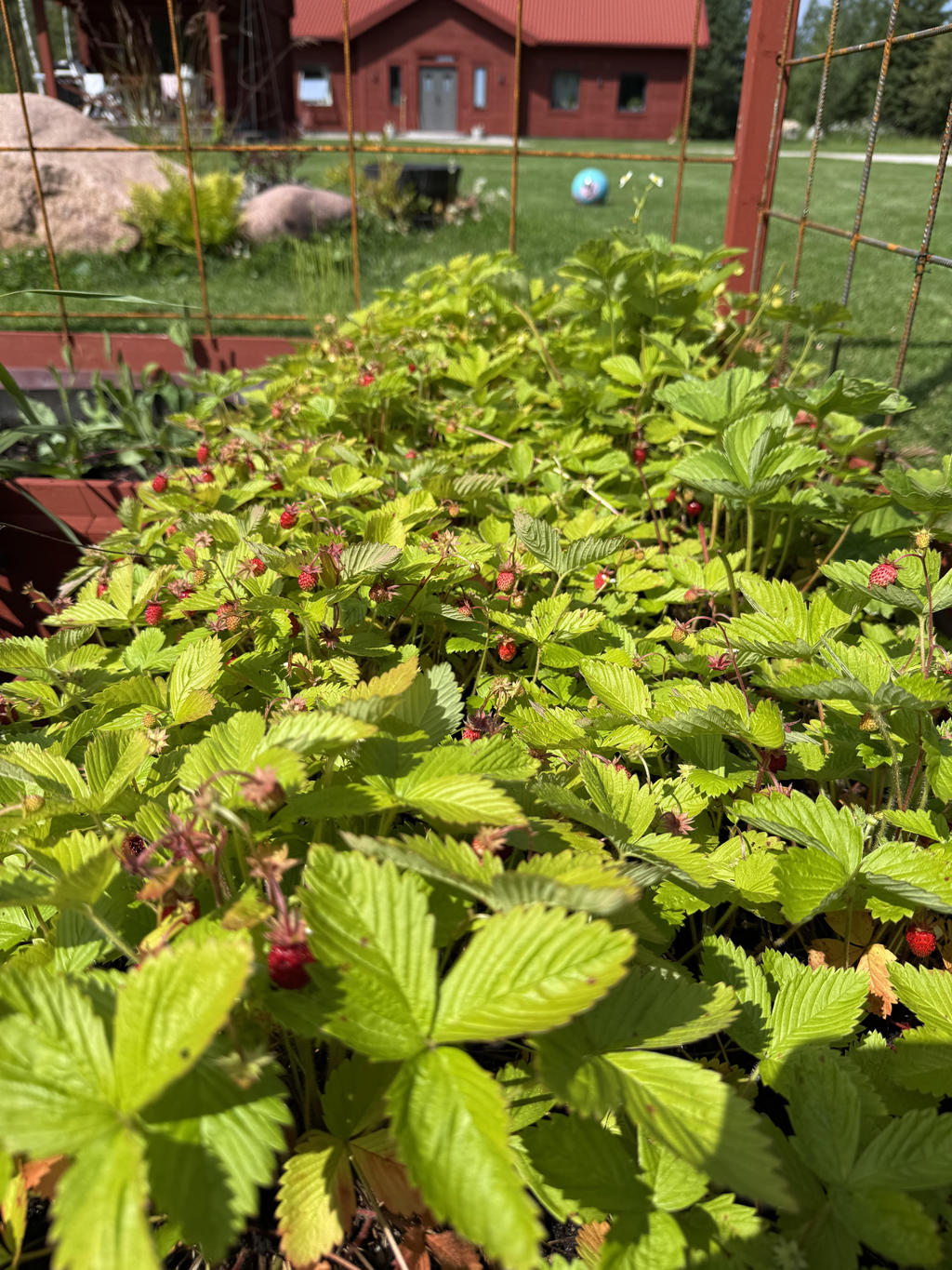 (Säljarnas egna sommarbilder.)