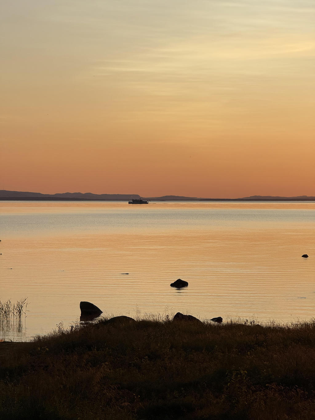 Kolla på detta! Säljarnas egna sommarbilder. 