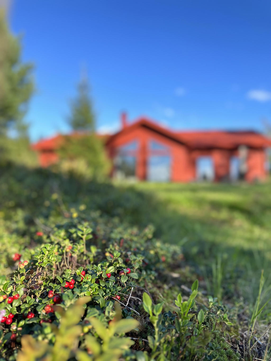 Säljarnas egna sommarbilder. 