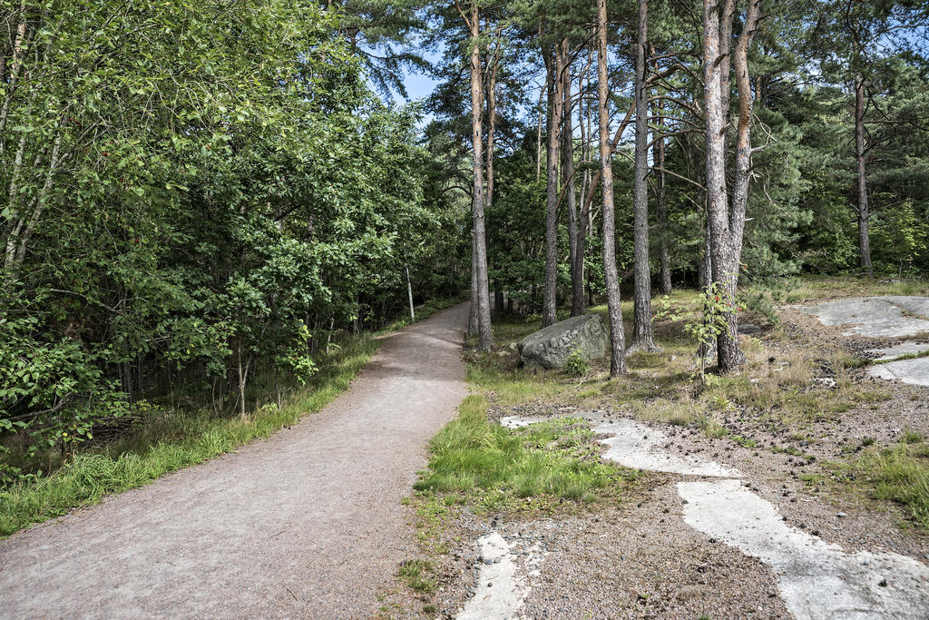 Fina spår i Ruddalen