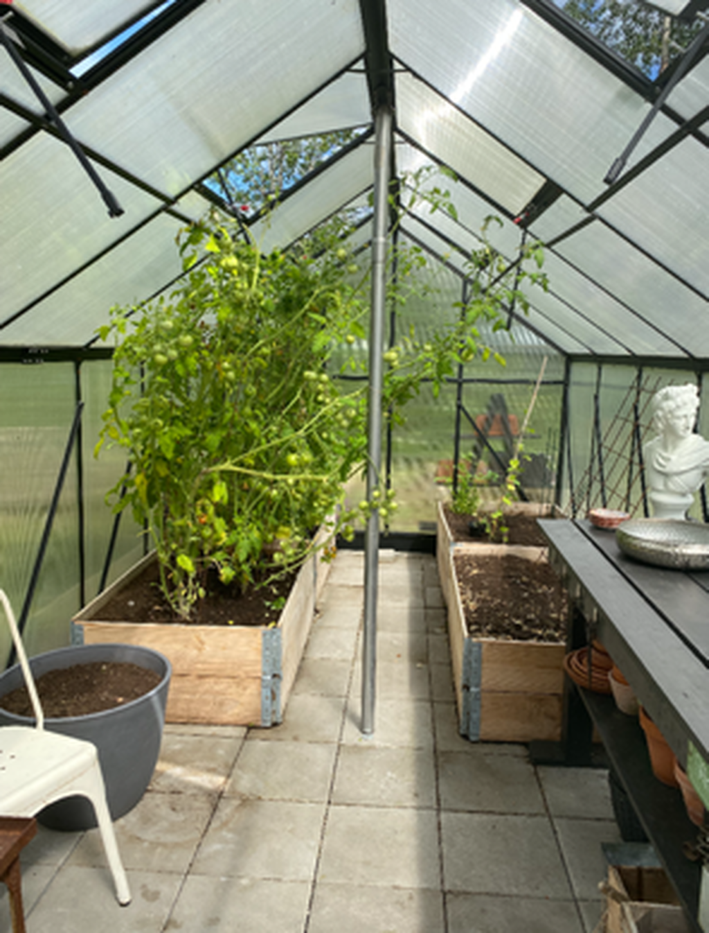 Växthus (Säljarens sommarbilder)