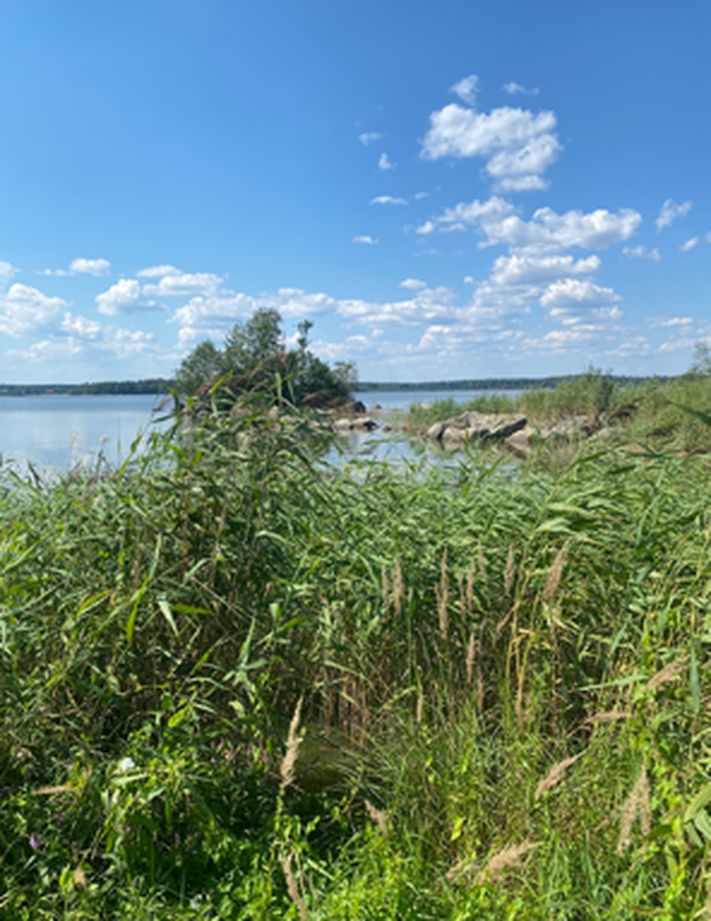 Sjönära (säljarens sommarbilder)