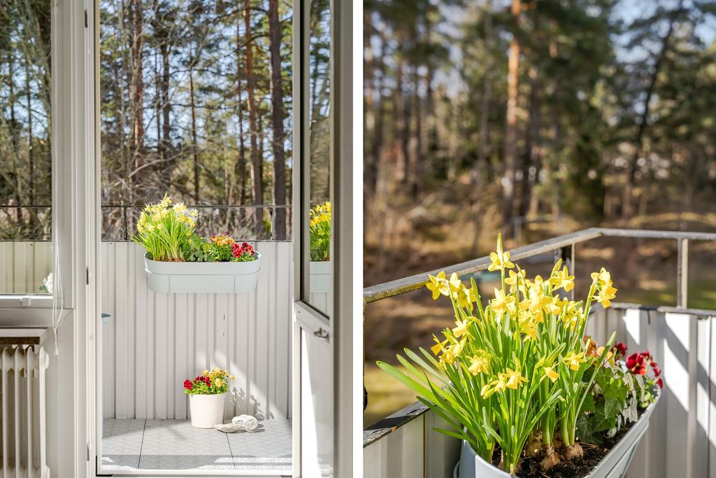 Balkong med utsikt mot talldunge