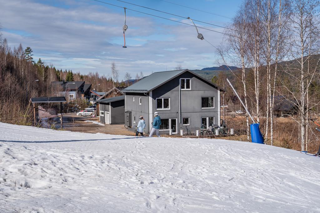 Från Amundsbacken mot tomten