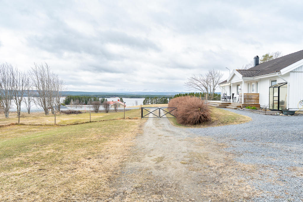 Denna utsikt och utsikt över fjäll och sjö!