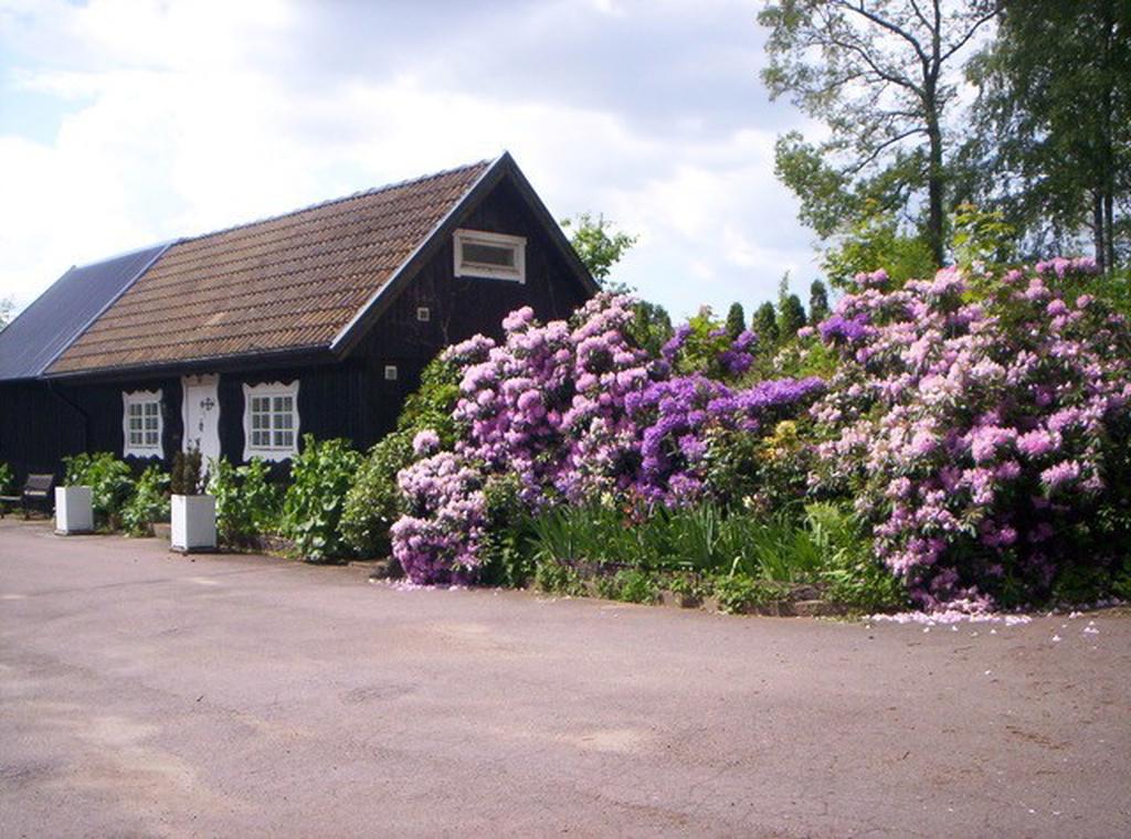 Säljarens sommarbilder