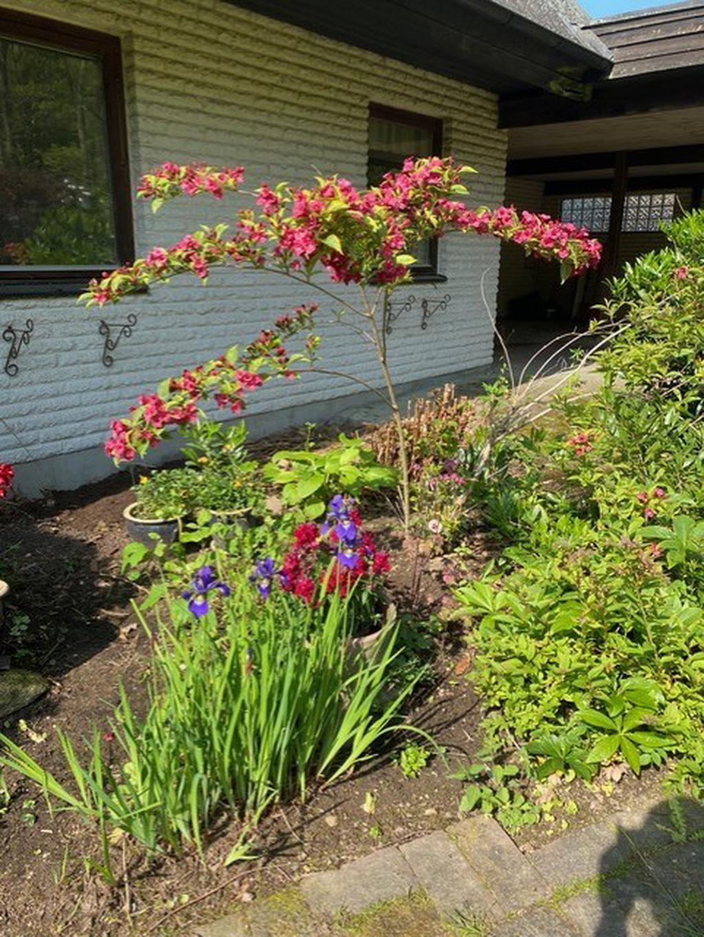 Säljarens sommarbilder