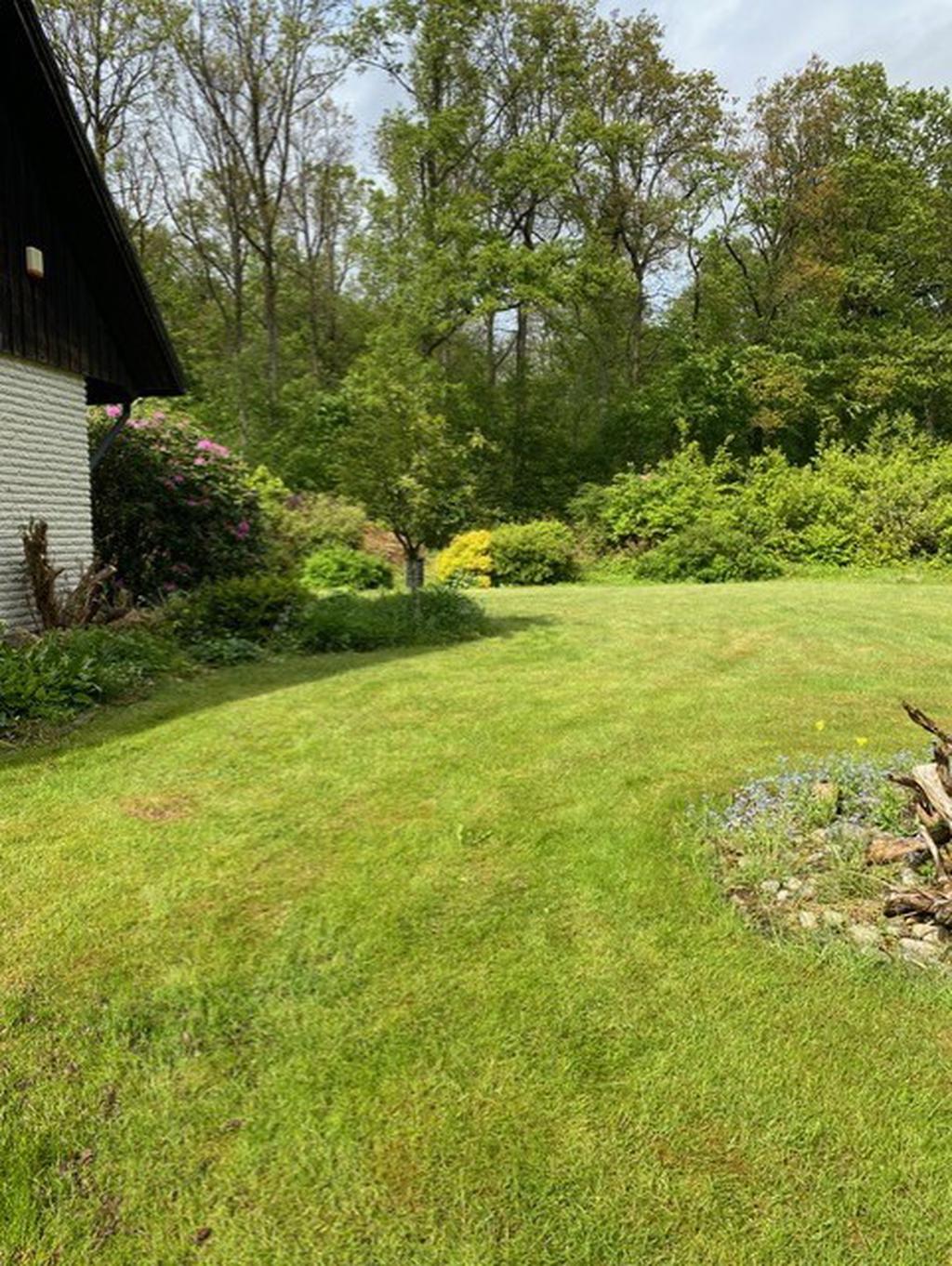 Säljarens sommarbilder