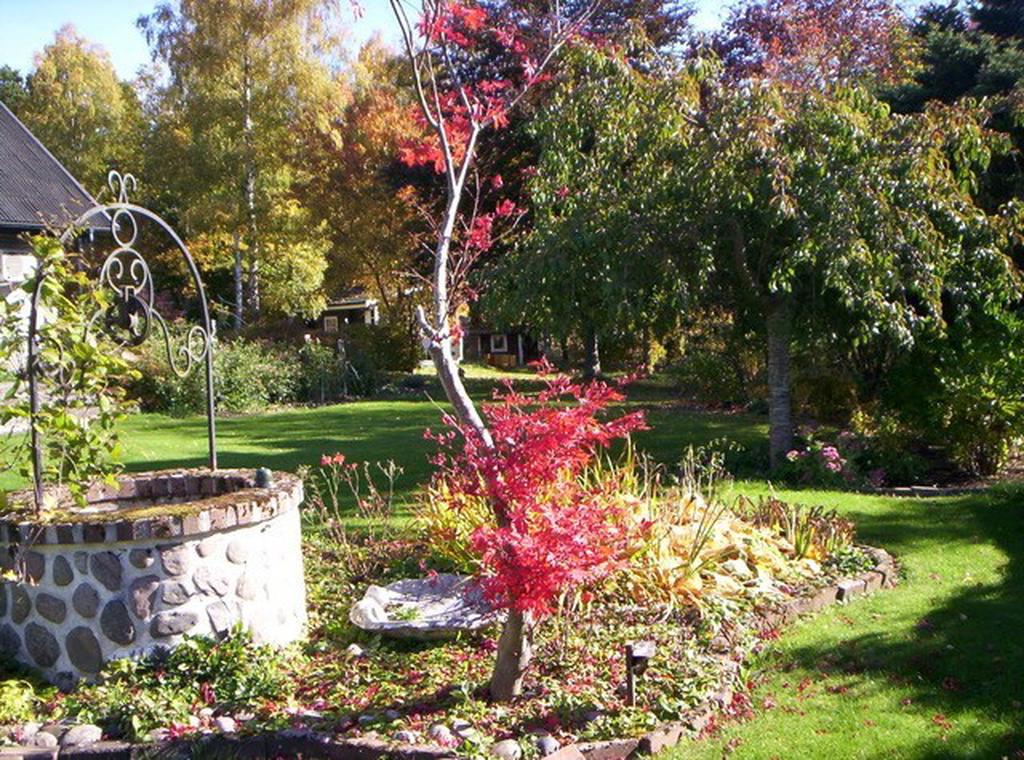 Säljarens sommarbilder