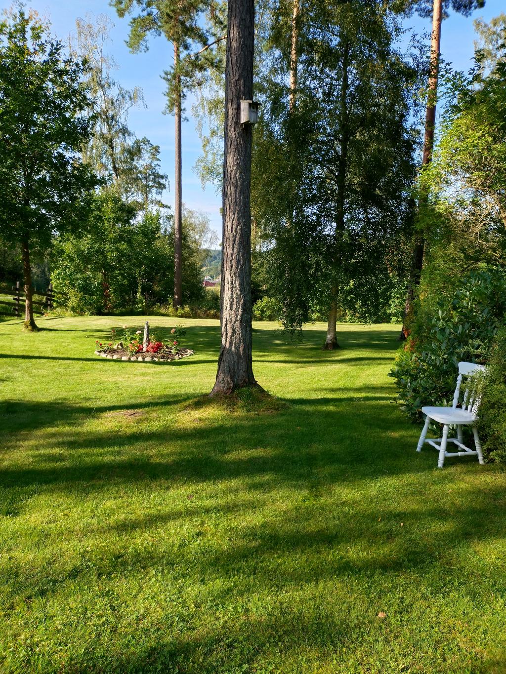 Säljarens egna bilder