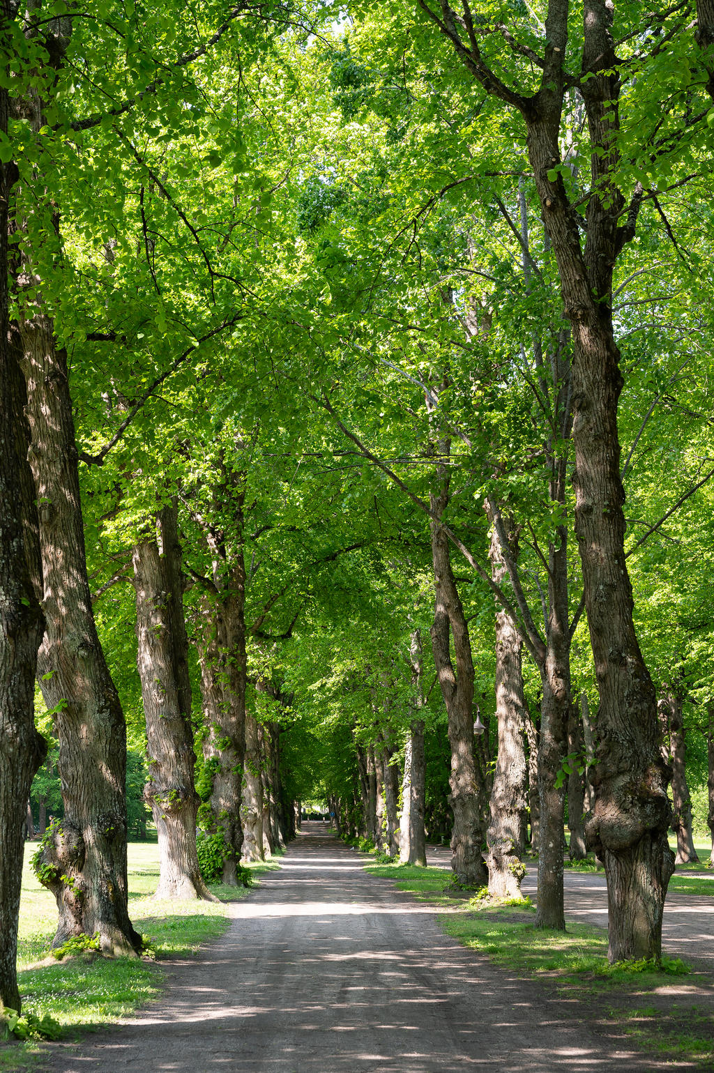Områdesbild - Boulognerskogen