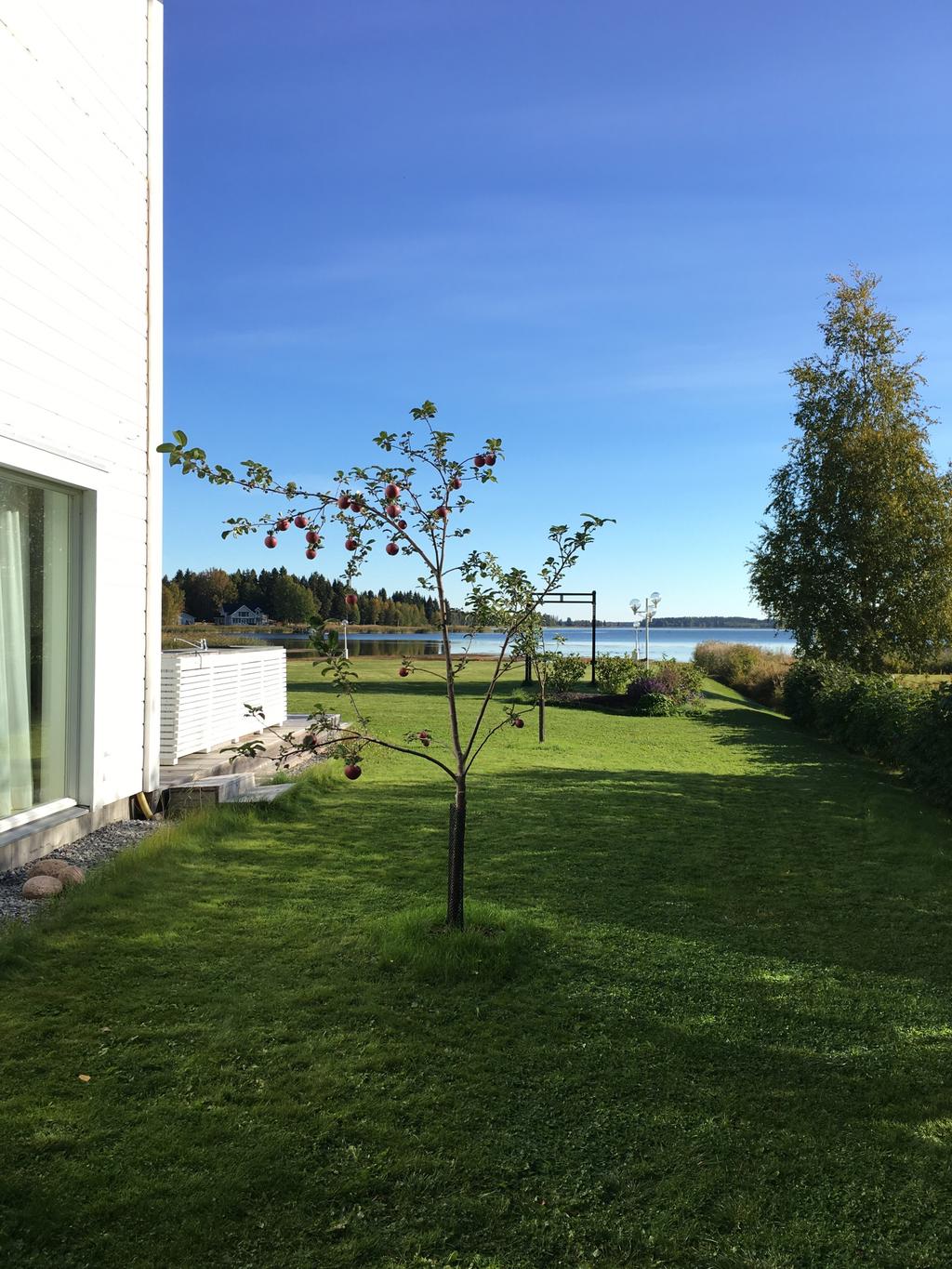 Säljarens privata sommarbild