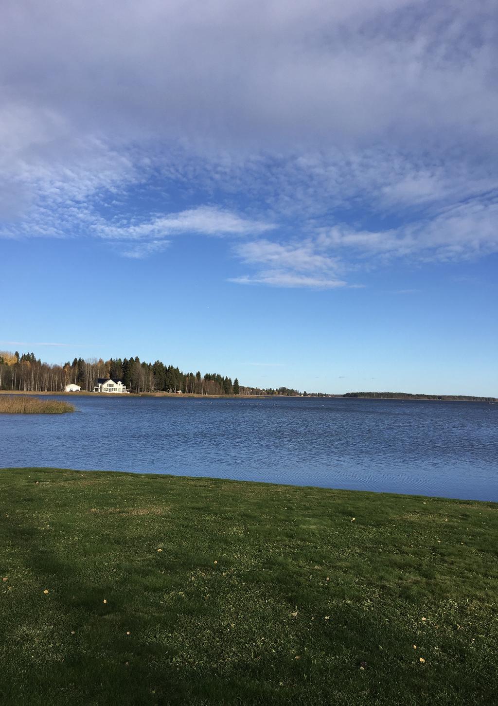 Säljarens privata sommarbild 