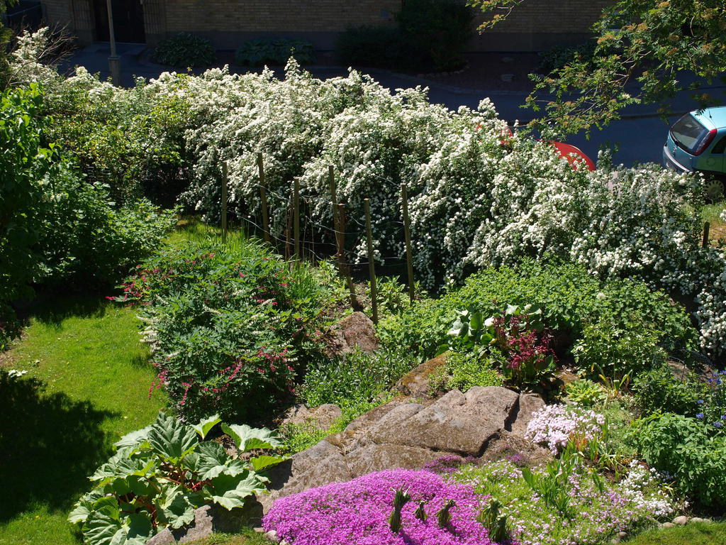 Säljarens privata sommarbilder från bostadens vackra trädgård