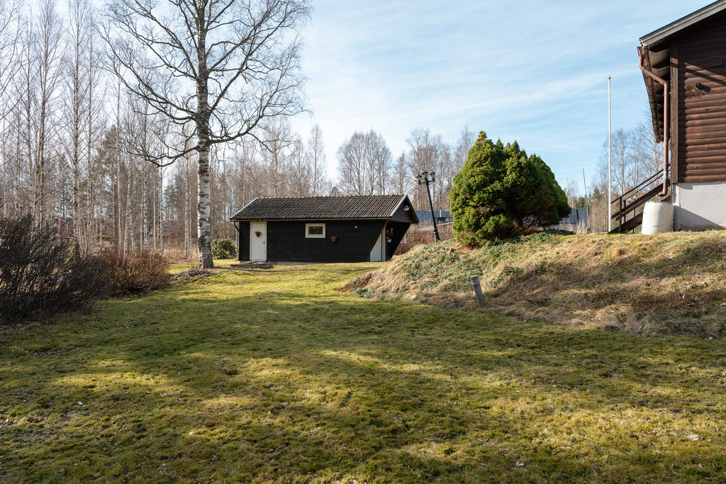 Trädgård