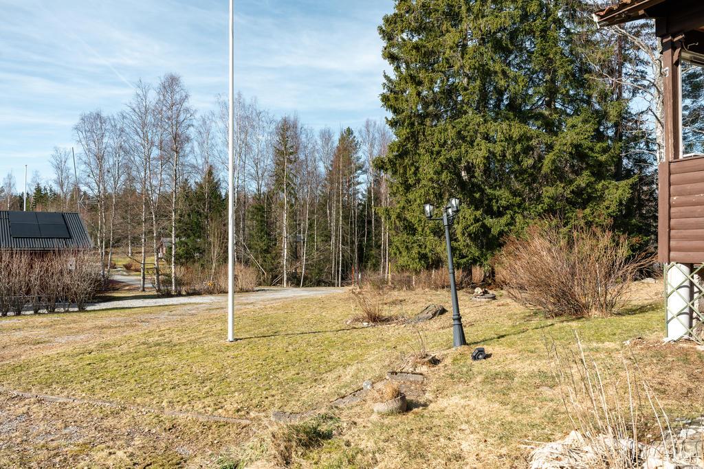 Trädgård