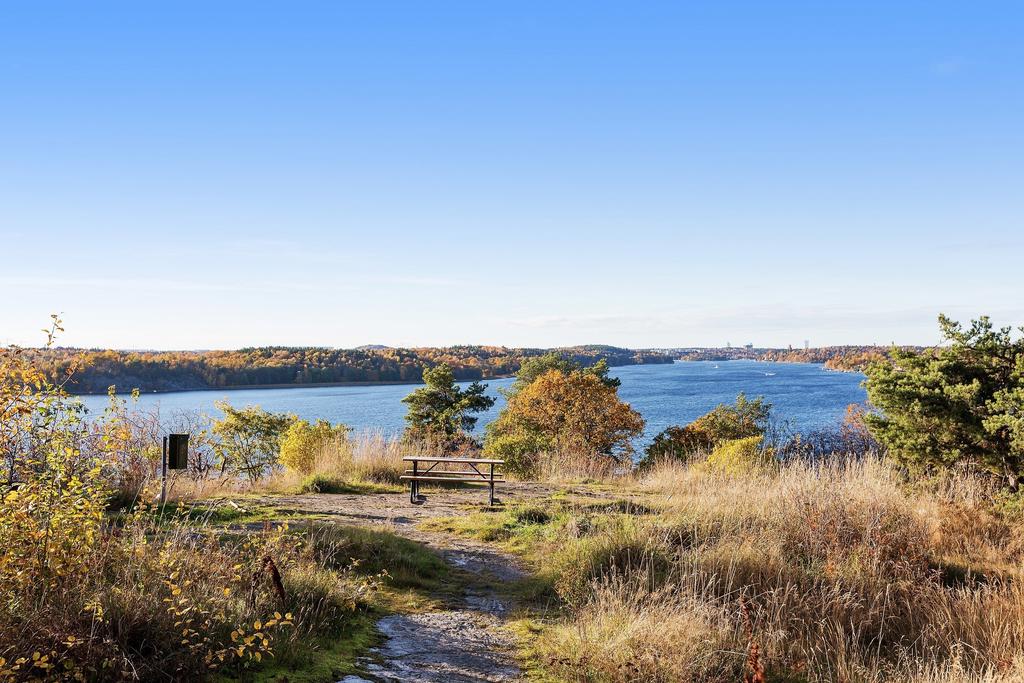 Torsviksberget i direkt närområde