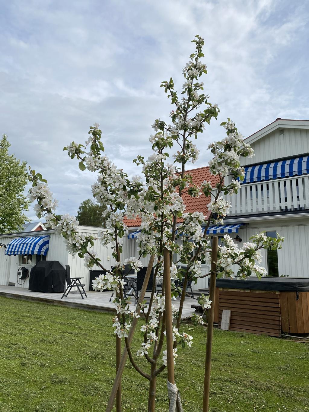 Säljarens privata sommarbild