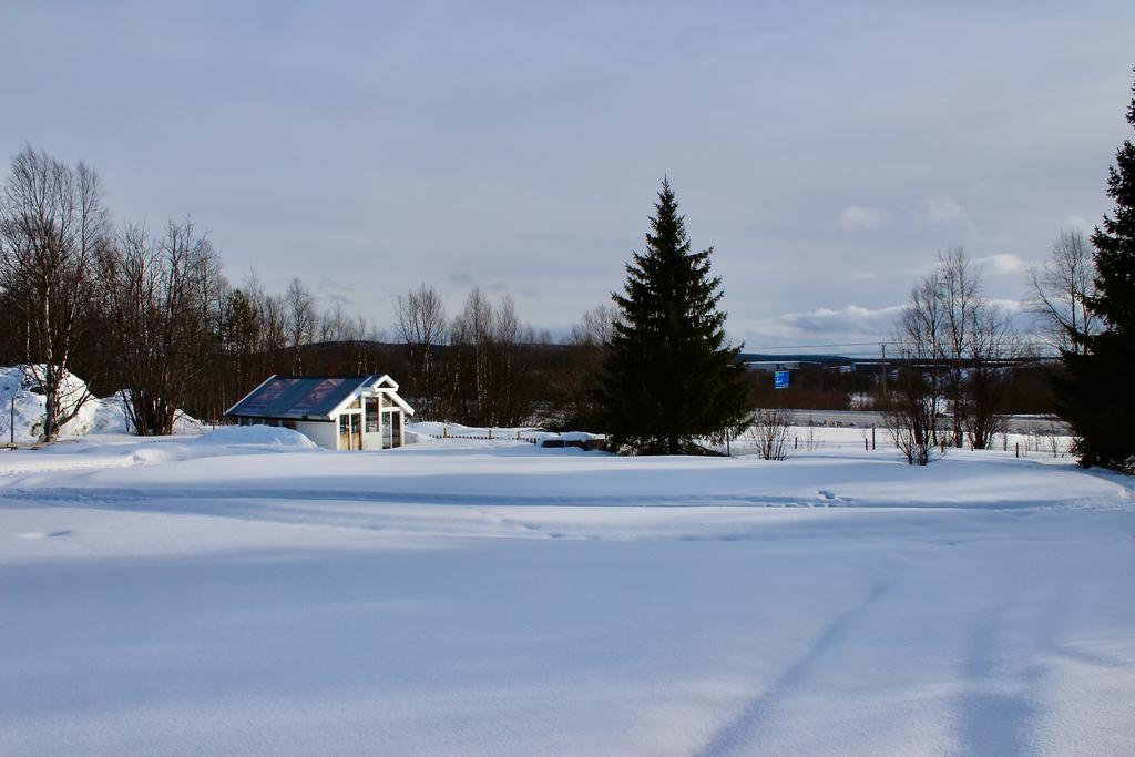 Växthus om cirka 12 kvm 