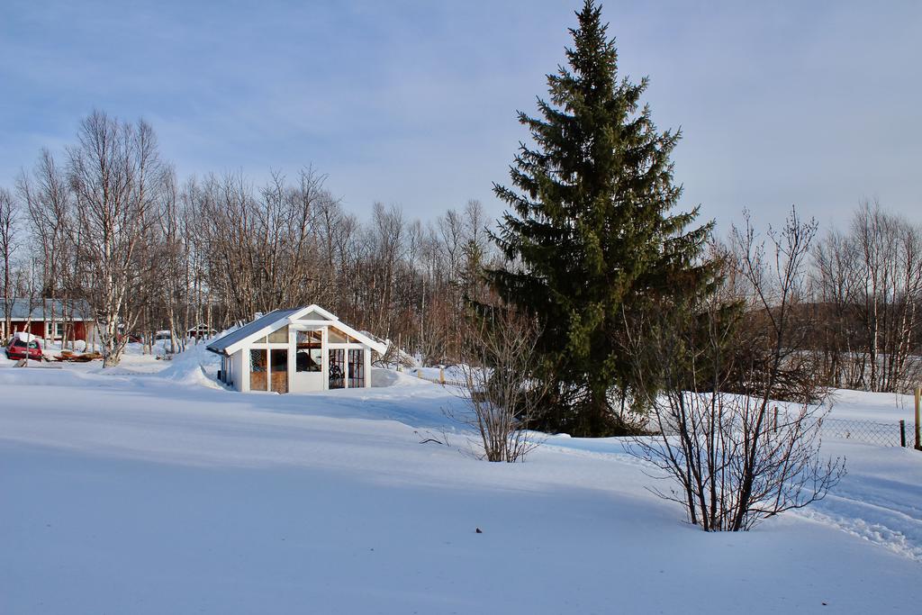 Växthus på gården 