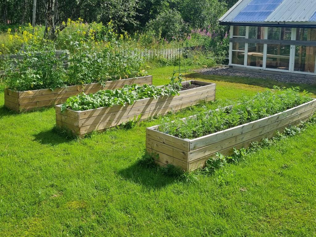 Odlingslådor på gården 