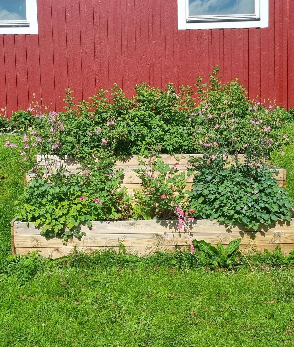 Odlingslådor på gården