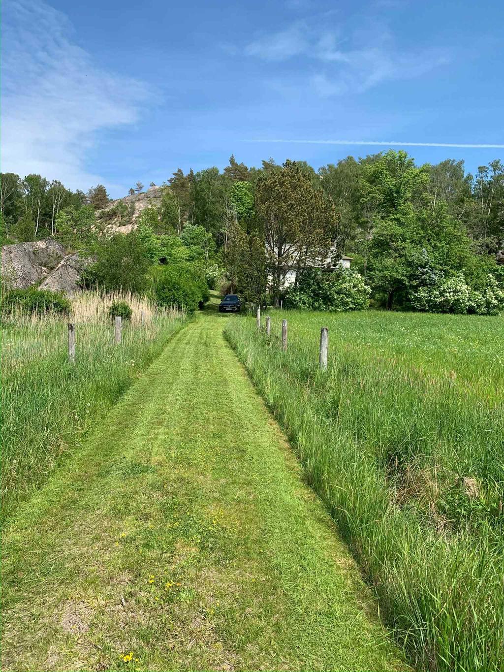 Säljarens sommarbild