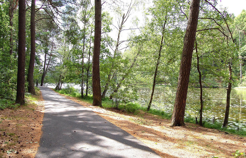 I området finns flera fina grönområden – bland annat Hisingsparken, ett av Göteborgs största parkområden, bara en kort promenad från bostaden.