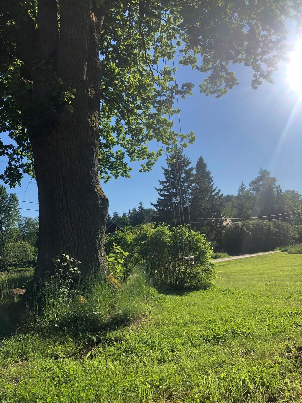 Säljarens egna bilder