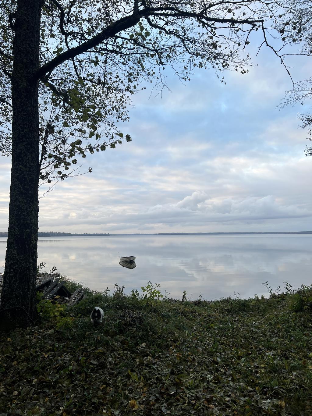 Ca 3/4km genom skogen når man denna fantastiska sjö