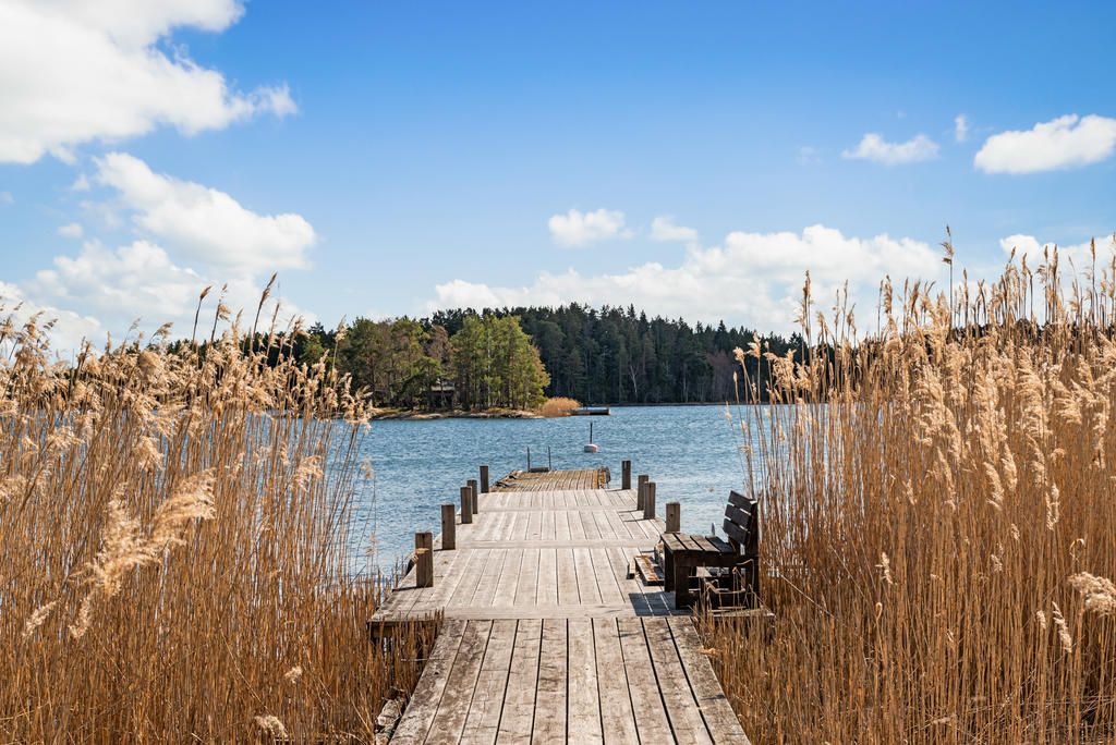 Samfällighetens brygga