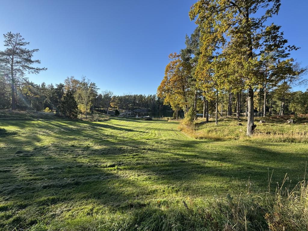 Midsommarängen vid Norrviken