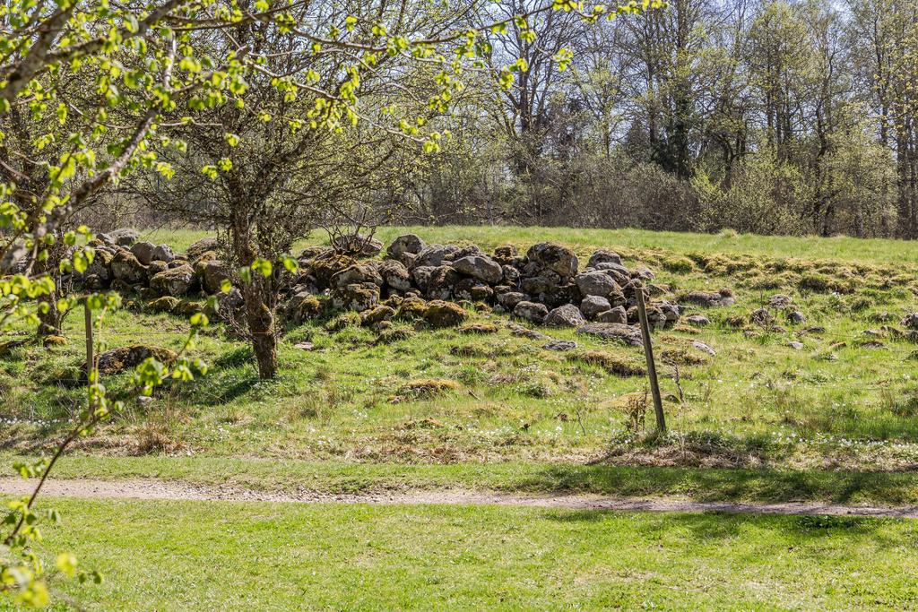Naturtomten är lummig och levande med omgivande skog och öppna ytor