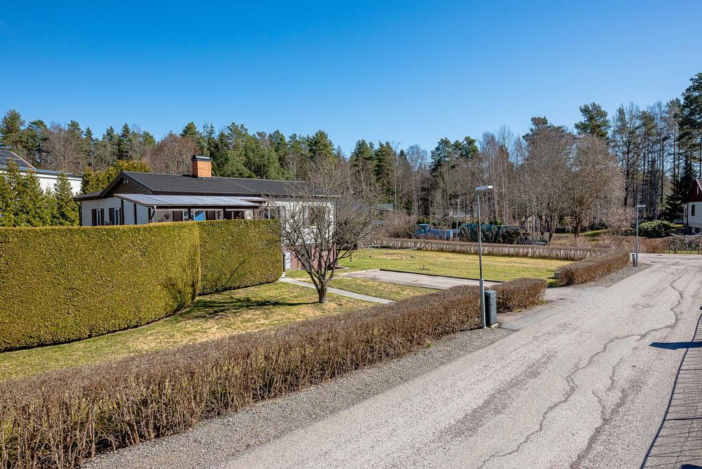 Fin häck som sagt